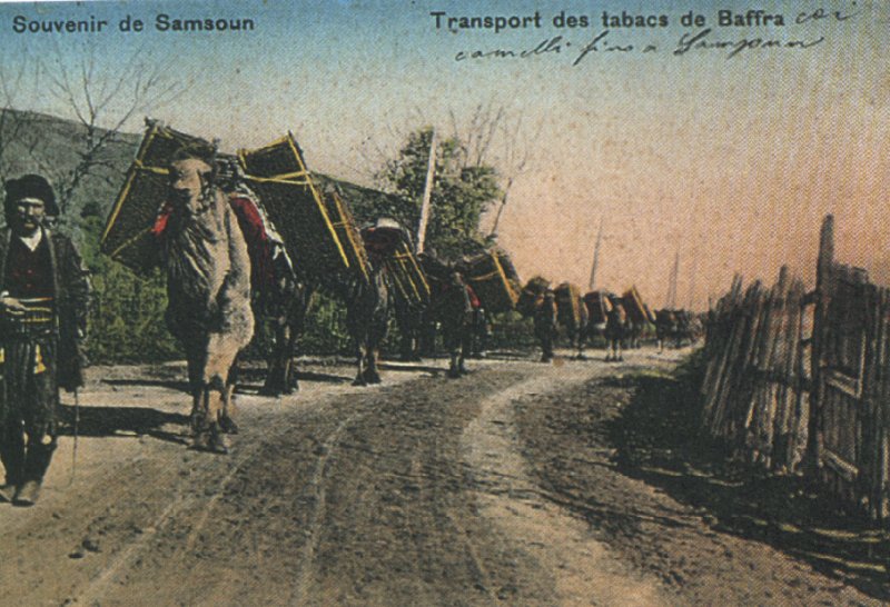Pafra_Bafra_1913_Tobacco Transport