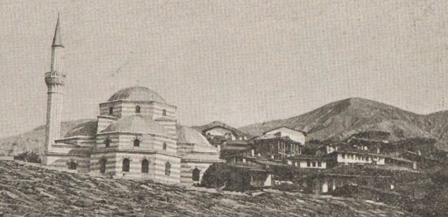 Tosya_1893